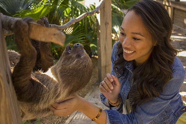 Wild Florida Gator Park Tickets - Photo 1 of 15